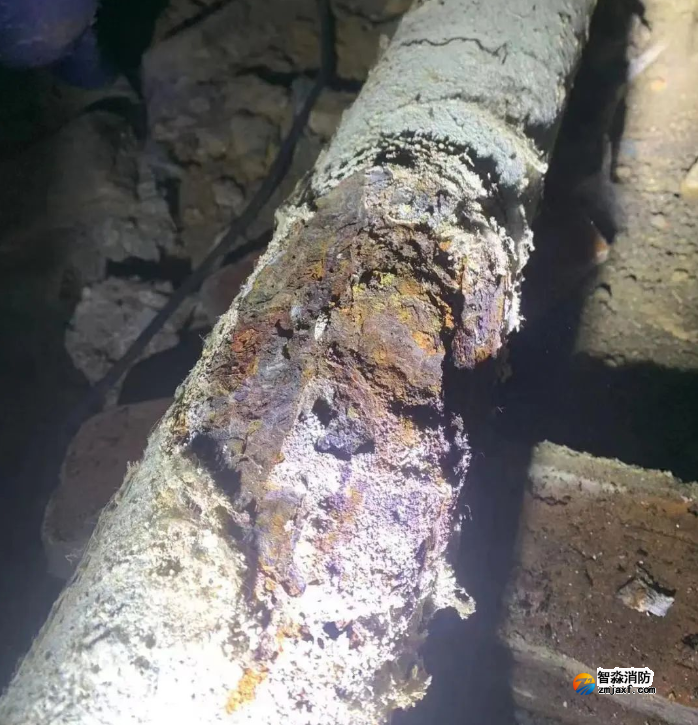 1673512644791714.png image.png